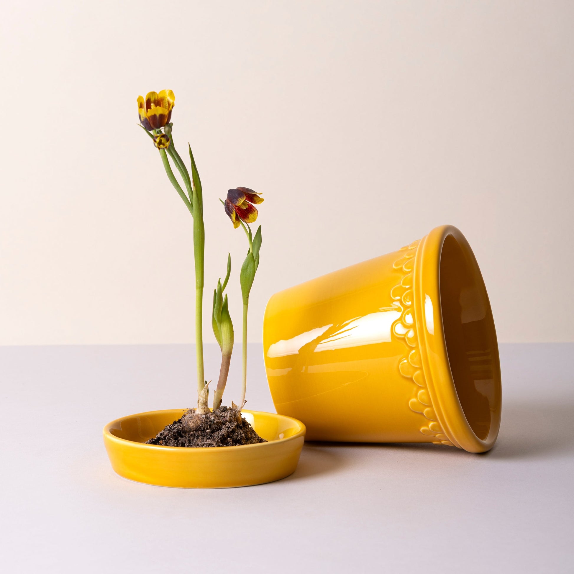 Kobenhavner Glazed Amber Yellow 16cm Pot with Saucer