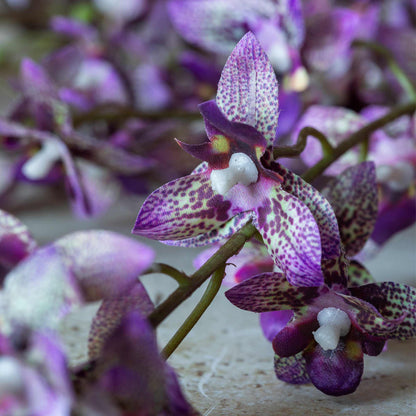 Artificial Oncidium Orchid Stem